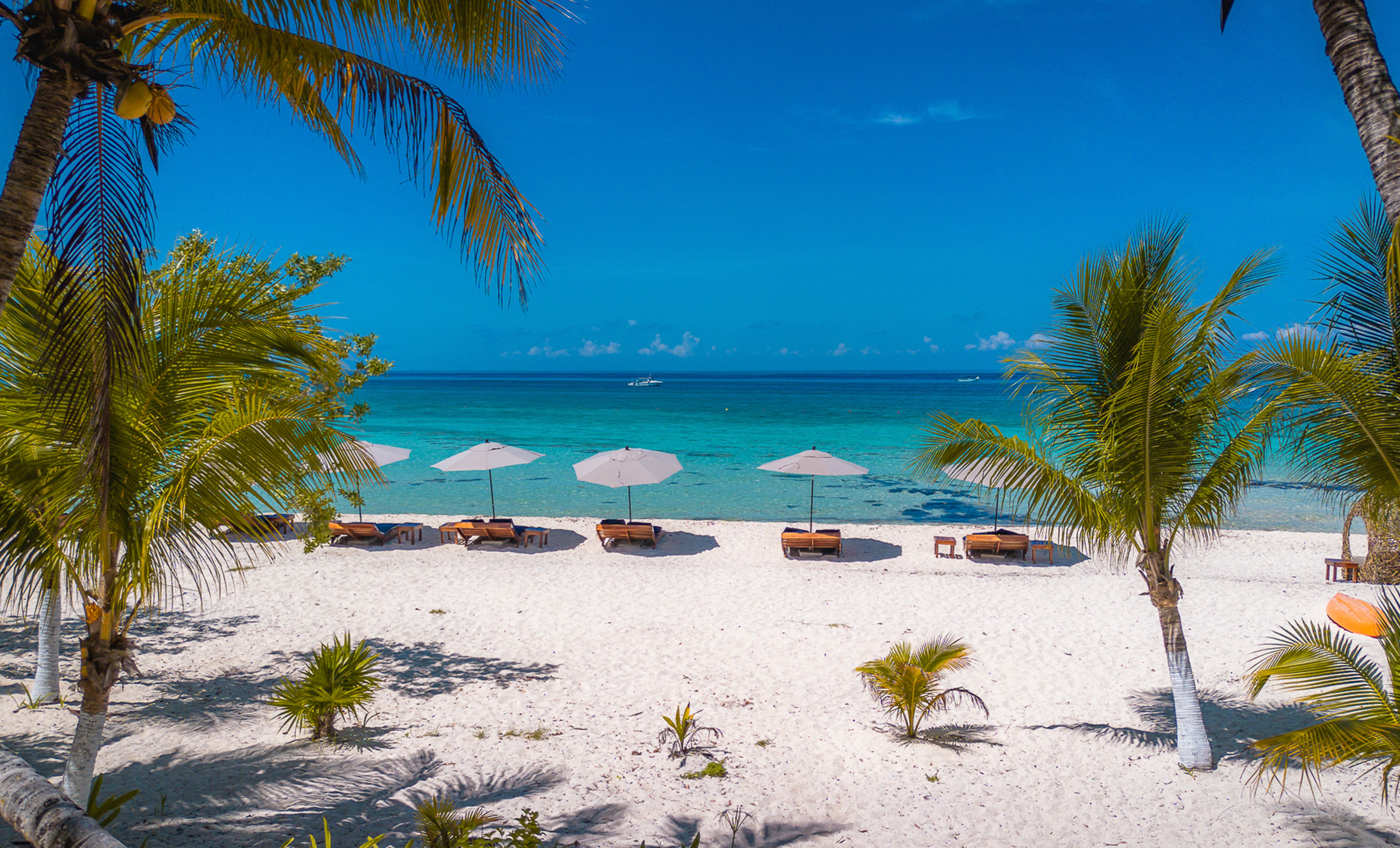 Secret Palancar Beach